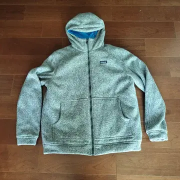 patagonia Insulated Better SweaterHoody