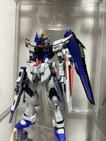 프리덤 건담 A상 피규어