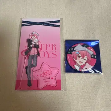 STPRBOYS 드롭 아크릴 스탠드 & 캔뱃지 세트