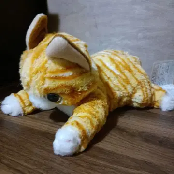 함께라서 좋아 와타나베 아키오 고양이 봉제 인형