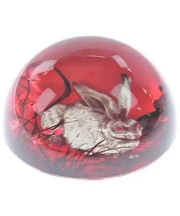 Salvatore Ferragamo 잡화류 (기타) 여성용