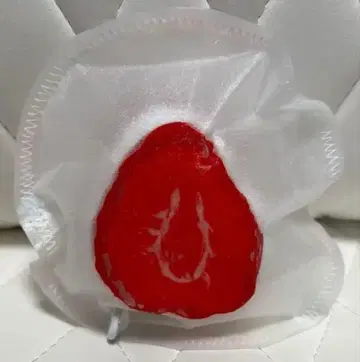 딸기 대포 스퀴즈 후아토로모치