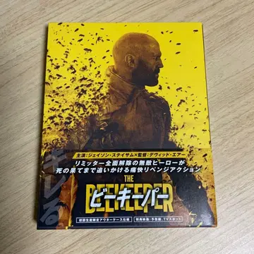 비키퍼 제이슨 스테이섬