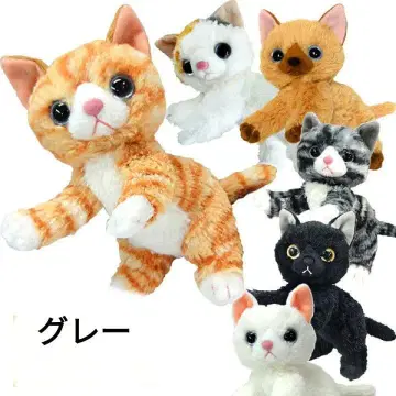 함께라서 좋아 와타나베 아키오 고양이 봉제 인형