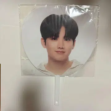 트레저 준규 점보 부채