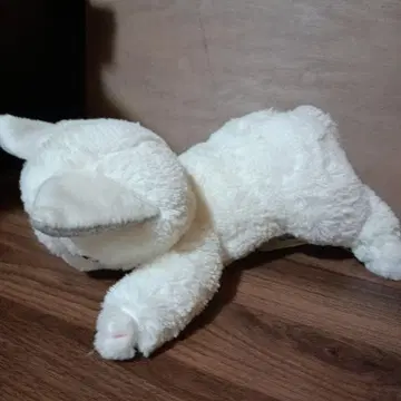 함께라서 좋아 와타나베 아키오 고양이 봉제 인형