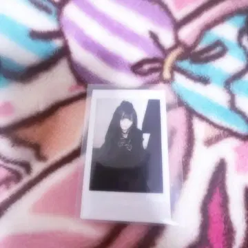 큐르시테 치바 유나 폴라로이드