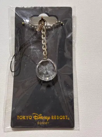 도쿄 디즈니랜드 칩과 데일 스트랩