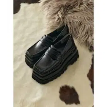 Darich 플랫폼 로퍼