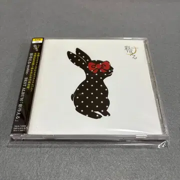 채이루는 베스트 앨범