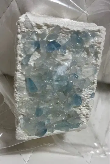 수정 자잘자잘 스퀴즈