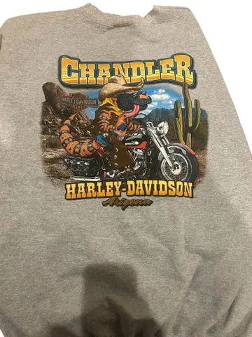 HARLEY-DAVIDSON 맨투맨 챈들러