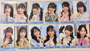 니아조이 브로마이드 풀컴프 3개월