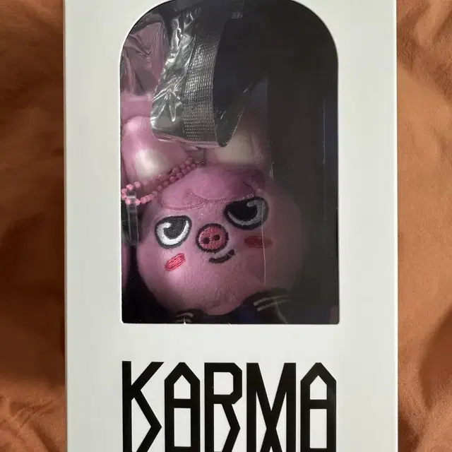 돼끼 스키주 스키즈 창빈 카르마 네모앨범 인형 판매 양도