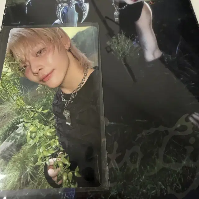 앤팀 니콜라스 개인반 앨범 미개봉 양도 위버스 럭키드로우 특전 포함