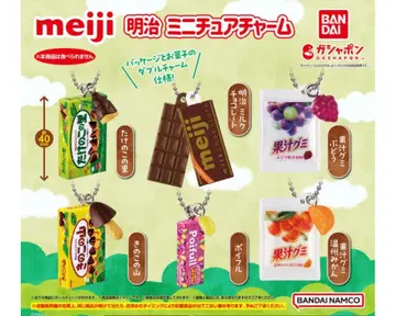 메이지 미니어처 참