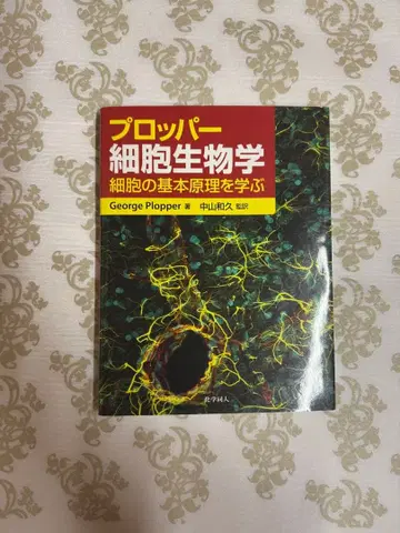 프로퍼 세포 생물학