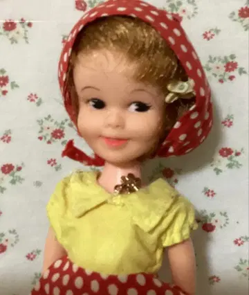 페니 브라이트짱