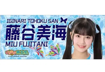 이기가리 도호쿠산 후지타니 미우미 클리어 타월 라쿠텐