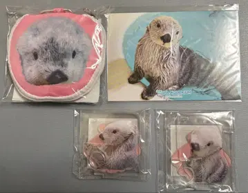 캡슐 복권 랏코의 메이짱 복권 리턴즈! 에코백 외 4종 세트