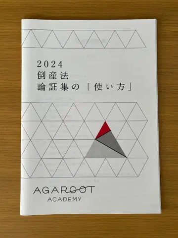 아갈트 도산법 2024 논증집