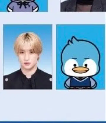 마츠이 리키 세트