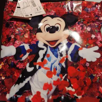 미키 카메라 백 Imagining the Magic