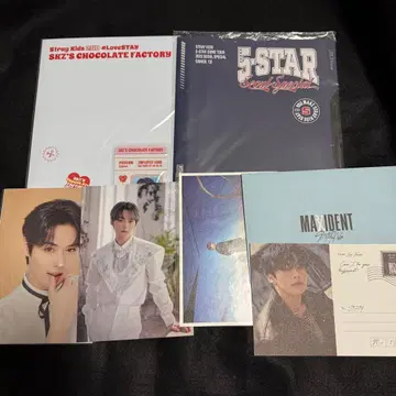 Stray Kids 리노 세트