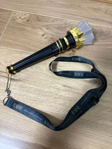 도모토 코이치 RAISE 응원봉