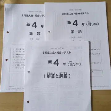 사피 신 4학년 (현 3학년) 산수 국어 테스트 세트