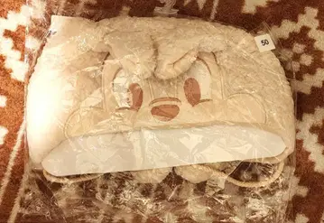 디즈니 팬캡 칩과 데일