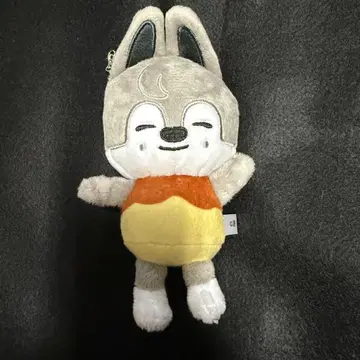 Stray Kids 방찬 푸딩