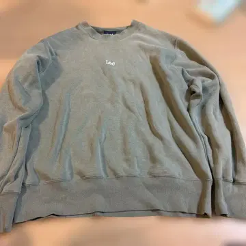 Lee 트레이닝복 M 사이즈