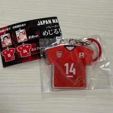 배구 남자 일본 대표 메지루시 참 이시카와 유키