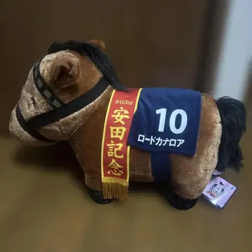 로드 카로아 야스다 기념 서러브레드 컬렉션