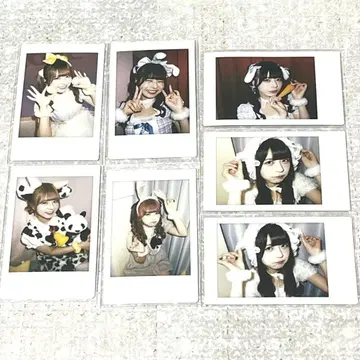 앳홈 카페 애니멀 코스데이 솔로 폴라로이드 7종 세트 린린