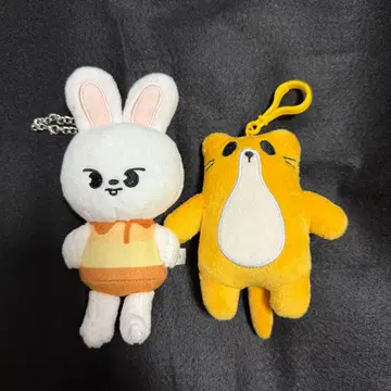 Stray Kids 리노 세트