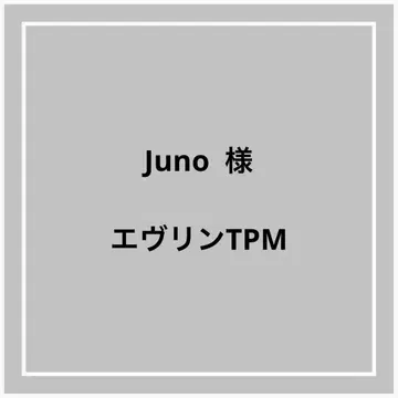 에블린 TPM 백 인 백 리버티