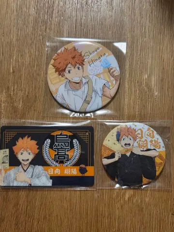 하이큐!! 히나타 쇼요 세트