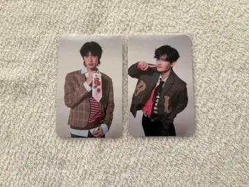 PITBABE 트레이딩 카드 PoohPavel