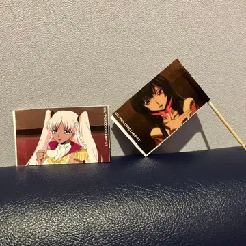 코드기어스 탈환의 로제 깃발 사쿠야 로제 캐서린 큐어메이드 카페