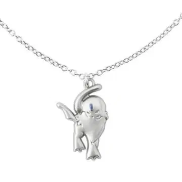 포켓몬 앱솔 TERACOOL 목걸이 2