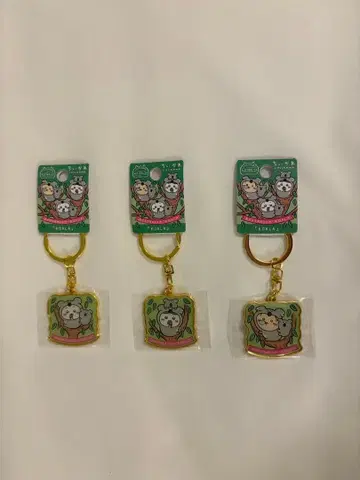 호주 한정판 치이카와 (먼작귀) 키링