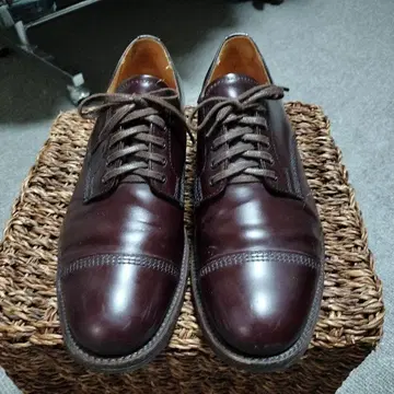 SANDERS / MILITARY DERBY SHOE