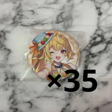 호시카와 사라 애니메이트 카페 캔뱃지 35개