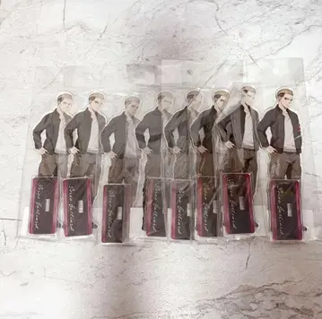 진격의 거인 포르코 갈리아드 BIG 아크릴 스탠드