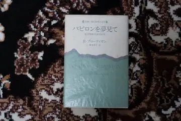 바빌론을 꿈꾸며 리처드 브로티건 신조사판