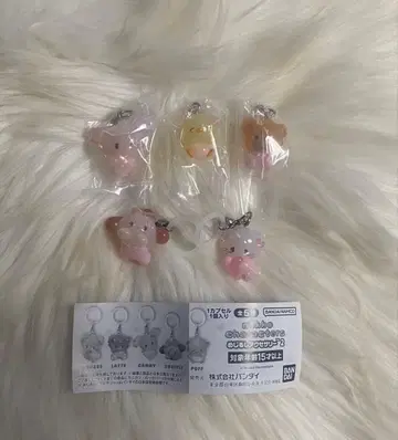 mikko 메지루시 액세서리 컴플리트 세트