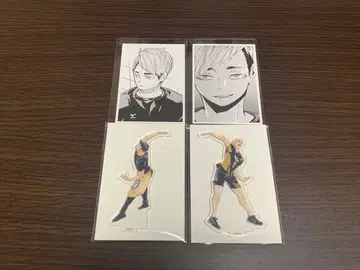 하이큐 크로니클 미야 아츠무 미야 오사무