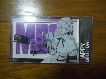 무기미래 아크릴 블록 루비아 레이